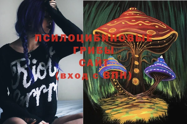 mdpv Белокуриха