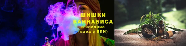 mdpv Богородицк