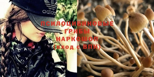кокаин Богданович