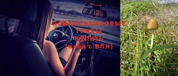 спайс Сосновоборск