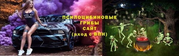 mdpv Белокуриха